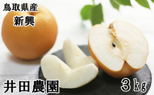 【ID02-3】鳥取県産　新興[梨]　（3kg箱）3月出荷予定 624141 - 鳥取県南部町