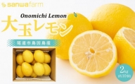 尾道産 大玉 レモン 2キロ ワックス 防腐剤不使用