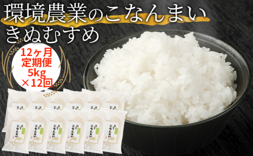 【12ヶ月定期便】環境農業のこなんまい きぬむすめ5kg 624388 - 滋賀県湖南市