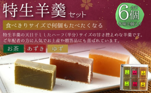 ＜特生手作り羊羹6個入りセット＞※入金確認後、翌月末迄に順次出荷します。 和菓子 お茶 あずき 小豆 羊羹 624623 - 宮崎県高鍋町