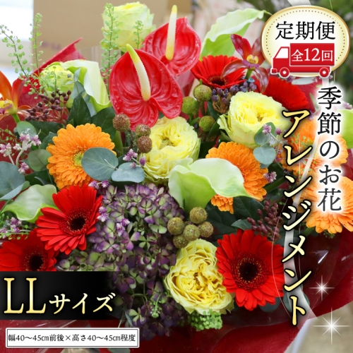 【 定期便 12ヶ月 】 毎月届く 季節の アレンジメント LLサイズ 花 生花 1年間 おうち時間 定期便 [CT063ci] 624781 - 茨城県筑西市