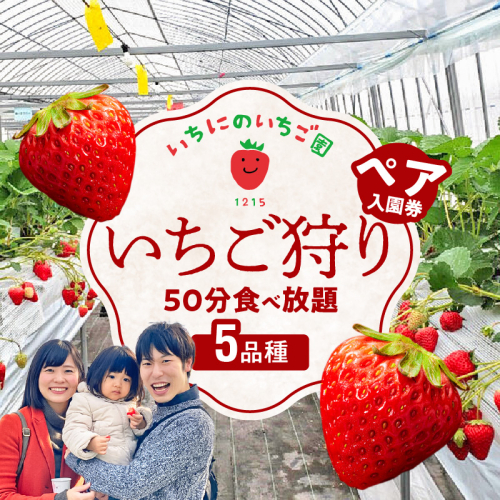 いちご狩り 5品種 食べ放題 50分 ペア入園券 いちにのいちご園　N085-YA839 624835 - 宮崎県延岡市