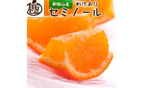 ［先行予約］家庭用 セミノールオレンジ10kg+250g（傷み補償分）［春みかん］［訳あり］［光センサー食べ頃出荷］［IKE274］ 624947 - 和歌山県那智勝浦町