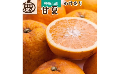 家庭用 甘夏柑10kg+250g（傷み補償分）［初夏のみかん・旬の果物］［有田産］［光センサー食べ頃出荷］［わけあり・訳あり］［IKE76］ 624953 - 和歌山県那智勝浦町