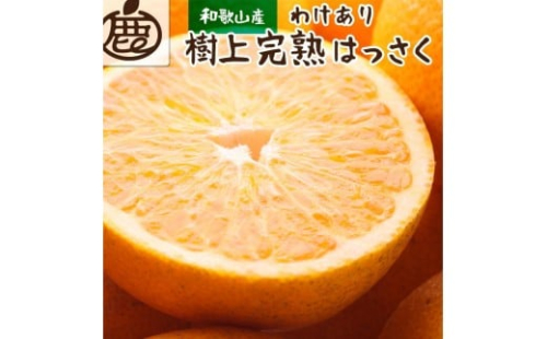 ［先行予約］家庭用 樹上完熟はっさく5kg+250g（傷み補償分）［有田の春みかん・五月八朔・木生りはっさく］［光センサー選別］［訳あり・わけあり］［IKE35］ 624963 - 和歌山県那智勝浦町