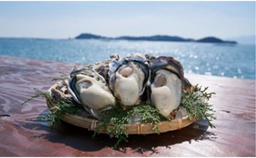 【厳選！】日生頭島殻付牡蠣「島のしずく」（加熱用・食べ頃サイズ20個）