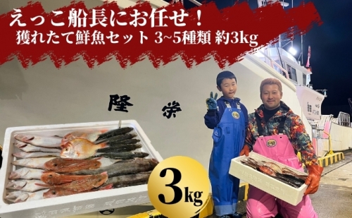 えっこ船長にお任せ！獲れたて鮮魚セット 3～5種類 約3kg（鮮魚 詰合せ ボックス） 625108 - 秋田県にかほ市