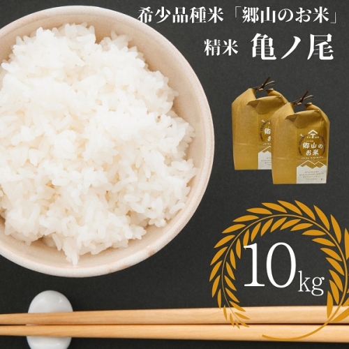 【希少品種米】自家採取　農薬不使用の亀ノ尾「郷山のお米」10kg（精米） 625128 - 秋田県にかほ市