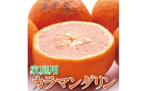家庭用 カラマンダリン10kg+250g（傷み補償分）［南津海・なつみ］［希少な春柑橘］［わけあり・訳あり］［みかんと同じように食べられます］［IKE69］ 625219 - 和歌山県那智勝浦町