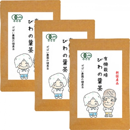 有機栽培 びわの葉茶（3個セット）：B023-013 625229 - 佐賀県佐賀市