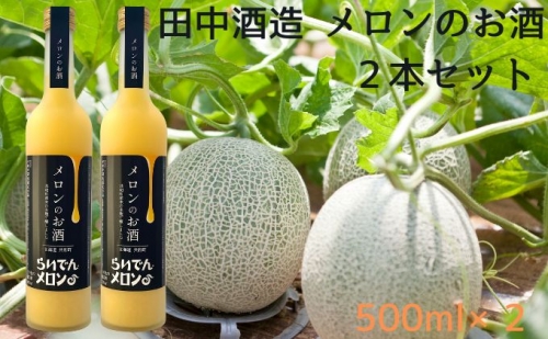 田中酒造 メロンのお酒 2本セット(500ml×2)