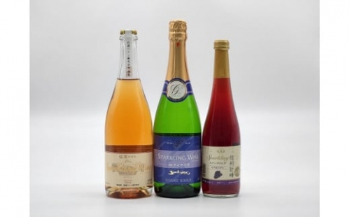 塩尻産スパークリングワイン　3本セットB【5682485】 625306 - 長野県塩尻市