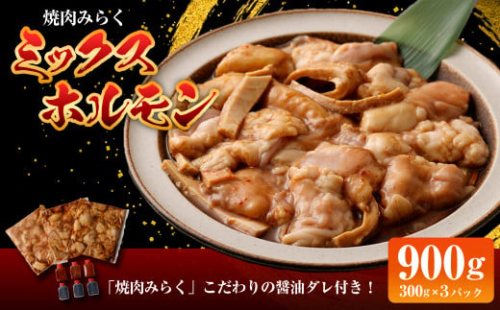 焼肉みらく ミックス ホルモン 約900g 冷凍 国産 タレ付き 625695 - 福岡県志免町