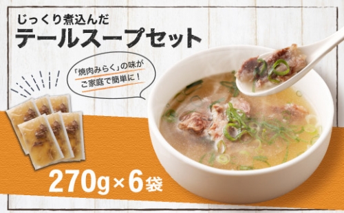 じっくり煮込んだ テールスープ 270g×6袋 国産 冷凍 625699 - 福岡県志免町