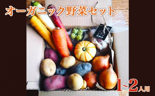2023年産　秋のオーガニックお野菜セット1～2人用 625835 - 北海道上富良野町