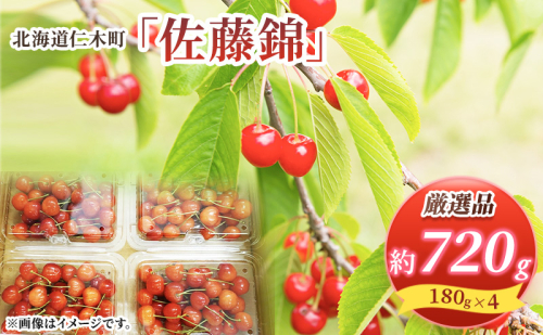 先行受付 北海道 仁木町産 さくらんぼ 佐藤錦 720g (180g×4パック) Lサイズ以上  旬 桜桃 産地直送 サクランボ チェリー フルーツ 果物 果物類 仁木町 仁木 [松山商店] 625879 - 北海道仁木町