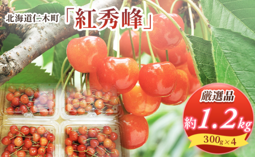 先行受付 北海道 仁木町産  さくらんぼ 紅秀峰 1.2kg (300g×4パック) Lサイズ以上　旬 桜桃 産地直送 サクランボ チェリー フルーツ 果物 果物類  仁木町 仁木 [松山商店] 625882 - 北海道仁木町