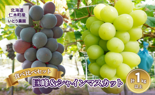 [先行受付] 9月出荷 北海道 仁木町産 葡萄 食べ比べセット『 巨峰 ＆ シャインマスカット 』（計1kg以上）ブドウ ぶどう 果物 フルーツ 旬の果物 産地直送 [いとう農園] 625887 - 北海道仁木町