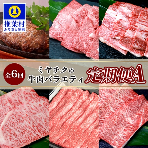 【定期便 6回】ミヤチクの牛肉バラエティ定期便A【6回配送】【宮崎牛・宮崎県産黒毛和牛】 [MT-76] 626306 - 宮崎県椎葉村