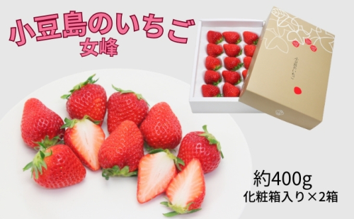 【 小豆島 】【2月からの発送】小豆島のいちご（女峰）400g 化粧箱入り×2箱 果物類 苺 イチゴ  62638 - 香川県土庄町