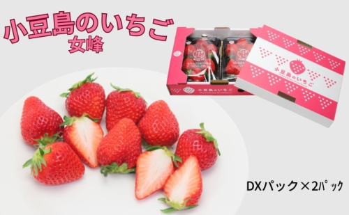 【 小豆島 】【3月からの発送】小豆島のいちご（女峰）DXパック (250g×2パック入り) 果物類 苺 イチゴ  62639 - 香川県土庄町