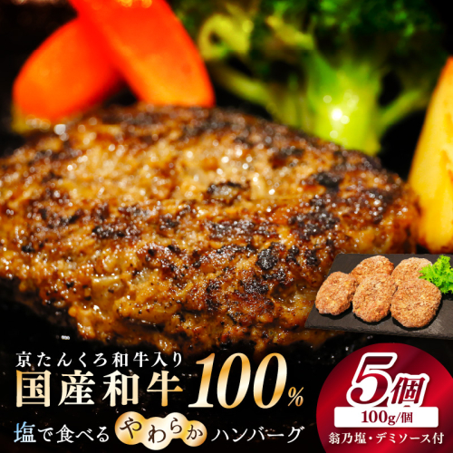 塩で食べるやわらかハンバーグ（デミグラスソース付）
 627358 - 京都府京丹後市