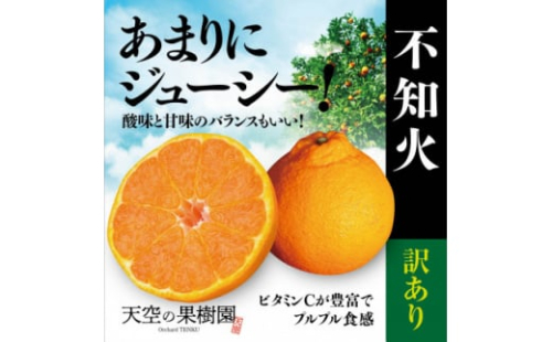 C45-78.【 訳あり 】天空の果樹園から届く 不知火 (5kg) 627370 - 愛媛県八幡浜市