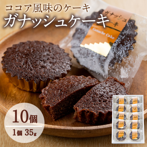 【08682】ガナッシュケーキ(約35g×10個セット)【吉川菓子店】 62744 - 鹿児島県東串良町