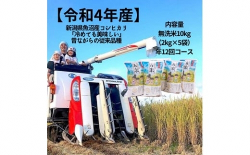 【定期便】新潟県魚沼産コシヒカリ無洗米10kg 627635 - 新潟県十日町市