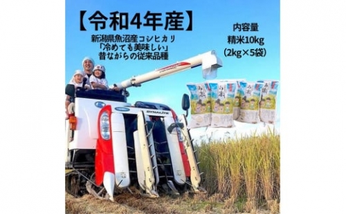 新潟県魚沼産コシヒカリ精米10ｋｇ 627637 - 新潟県十日町市
