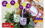 BC006-1  紫波町佐比内のぶどうジュース飲み比べセット【小原果樹園】