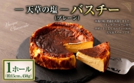 天草の塩バスクチーズケーキ 5合サイズ （ 直径 約15cm ） 1ホール 450g チーズ チーズケーキ