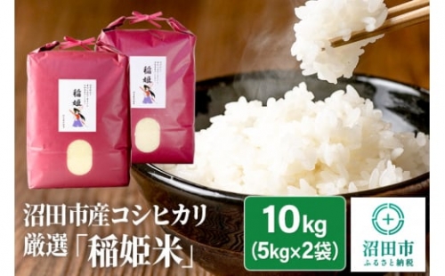 令和5年産 コシヒカリ厳選「稲姫米」10kg（5kg×2袋）精米 白米 こしひかり
