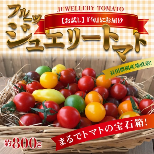 【お試し】まるでトマトの宝石箱！フルーツジュエリートマト 800g　 H004-072