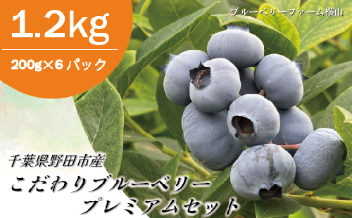 野田市産こだわりブルーベリープレミアムセット 1.2kg 630110 - 千葉県野田市
