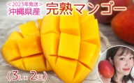 ＜2023年発送＞沖縄県産　完熟マンゴー（3L×2玉）