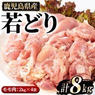 若どりモモ肉(計8kg・2kg×4袋)【まつぼっくり】matu-6094