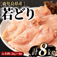 【数量限定】まつぼっくり　若鶏ムネ肉8kg_ matu-947
