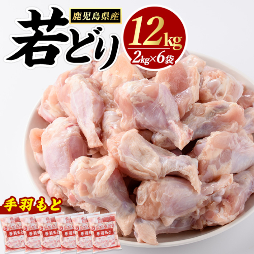 若どり手羽元(計12kg・2kg×6袋)  鶏肉 小分け 冷凍 手羽元 【まつぼっくり】matu-7220 63029 - 鹿児島県長島町