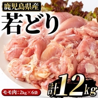 若どりモモ肉(計12kg・2kg×6袋) 鶏肉 小分け 冷凍 鶏肉 もも 鶏もも肉 【まつぼっくり】matu-6096