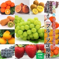 【フルーツ定期便】フルーツ王国さぬきの旬のフルーツを毎月１種類ずつお届け【G-8】