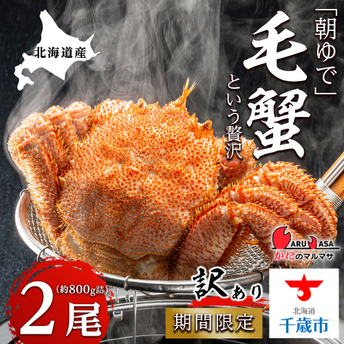 北海道産【朝ゆで】訳あり毛ガニ 800g詰 期間限定！≪かにのマルマサ≫ 630531 - 北海道千歳市