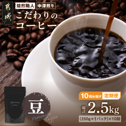10回お届け!焙煎職人こだわりのコーヒー定期便【豆】250g 小分けパック(ジッパー・バルブ付) ※中深煎り※ポスト投函_TLA10-3302 630542 - 宮崎県都城市