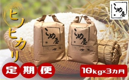 Ｚ28【定期便3回】熊本県産「ヒノヒカリ」10kg×3カ月