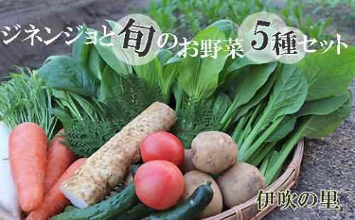 BB-3 伊吹の里 ジネンジョと旬のお野菜5種セット 630999 - 岐阜県垂井町