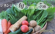 BB-3 伊吹の里 ジネンジョと旬のお野菜5種セット