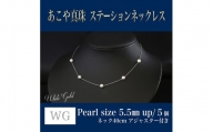 WG(K18) あこや真珠 ステーションネックレス (40㎝) 真珠サイズ5.5mm 真珠 ネックレス アクセサリー 装飾品 福岡県 嘉麻市