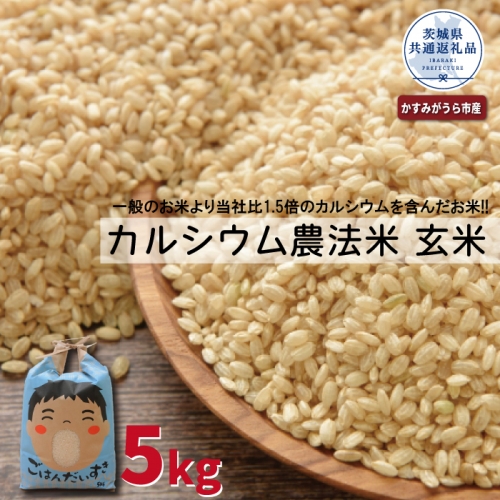BQ-2 カルシウム農法米　玄米5kg（茨城県共通返礼品・かすみがうら市産）