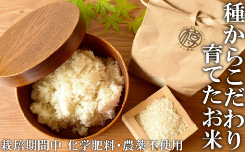 たるみ農園 ヒノヒカリ 白米 5kg 【栽培期間中:化学肥料、有機肥料、農薬、除草剤不使用】 631774 - 福岡県小郡市