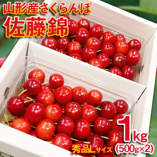 さくらんぼ 佐藤錦 Lサイズ 1kg(500g×2パック） 【令和8年産先行予約】FS25-571 631780 - 山形県山形市